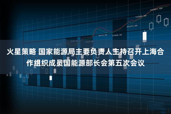 火星策略 国家能源局主要负责人主持召开上海合作组织成员国能源部长会第五次会议